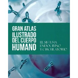 SISTEMA ENDOCRINO Y CIRCULATORIO, EL   (GRAN ATLAS ILUST.DEL C.H.