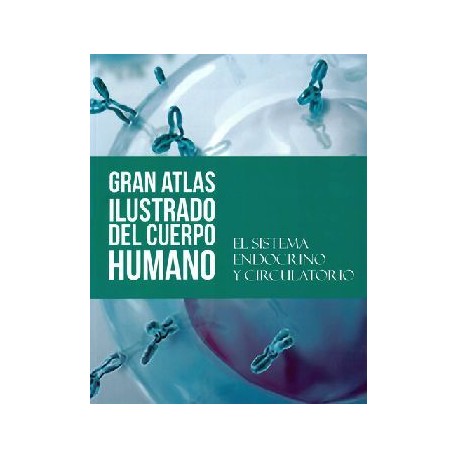 SISTEMA ENDOCRINO Y CIRCULATORIO, EL   (GRAN ATLAS ILUST.DEL C.H.