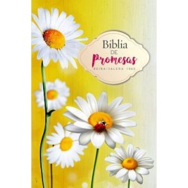 BIBLIA DE PROMESAS -REINA-VALERA 1960-