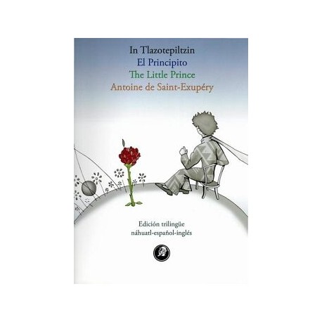 EL PRINCIPITO PARA NIÑOS