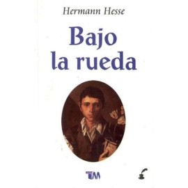 BAJO LA RUEDA